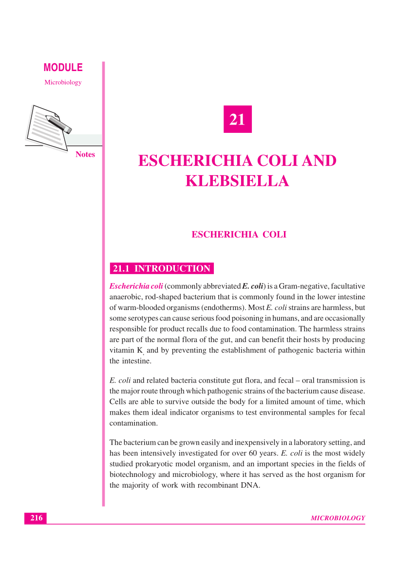 Pdf Escherichia Coli And Klebsiella