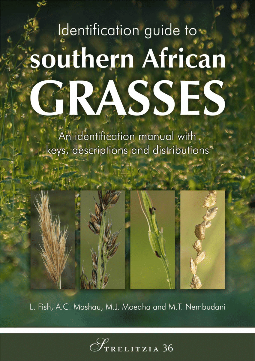 Pdf Identification Guide To Southern African Grasses An