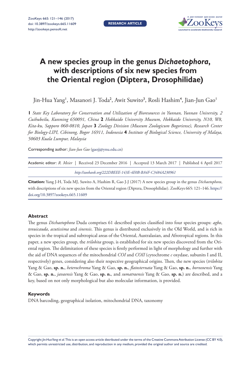 Pdf A New Species Group In The Genus Dichaetophora With Descriptions Of Six New Species From The Oriental Region Diptera Drosophilidae