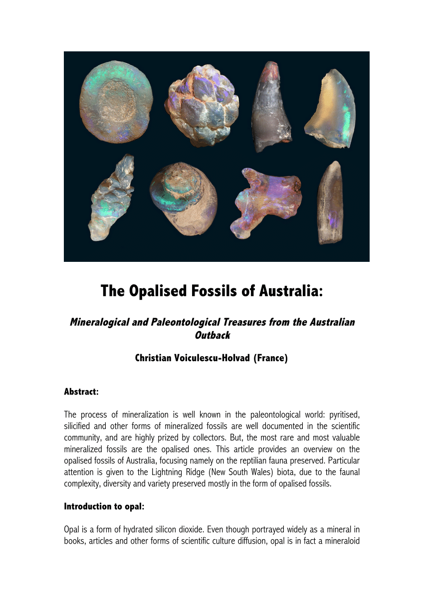 PDF) The Opalised Fossils of Australia: and Paleontological Treasures from the Outback.