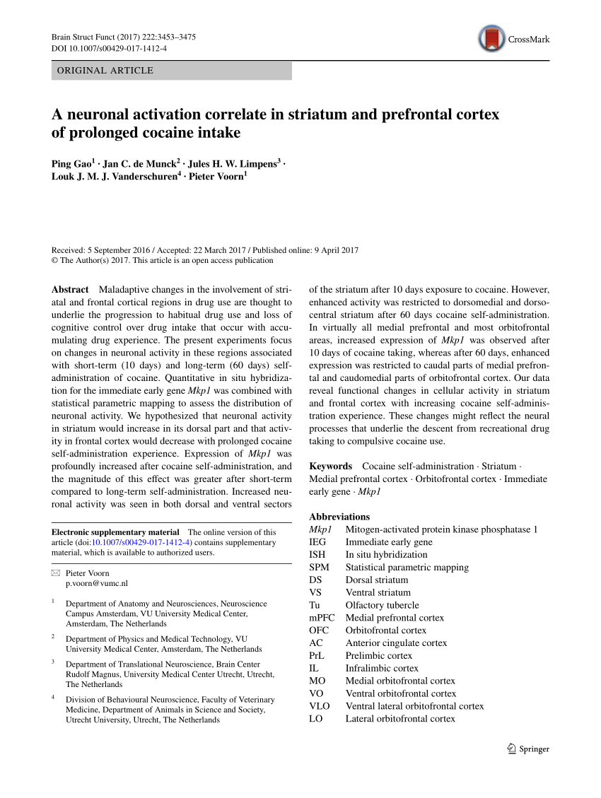 Neurobiological Substrate Of Smoking Related Attentional Bias - neurobiological substrate of smoking related attentional bias maartje luijten request pdf