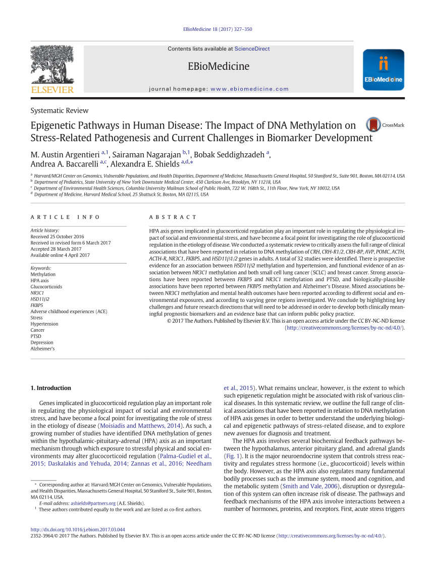 Pdf Epigenetic Pathways In Human Disease The Impact Of Dna