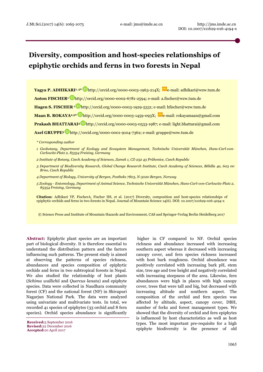 Phylogenetic diversity and the structure of host-epiphyte interactions