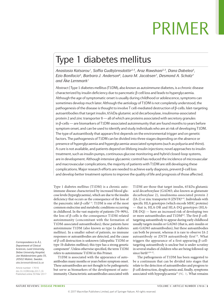 type 1 diabetes literature review)