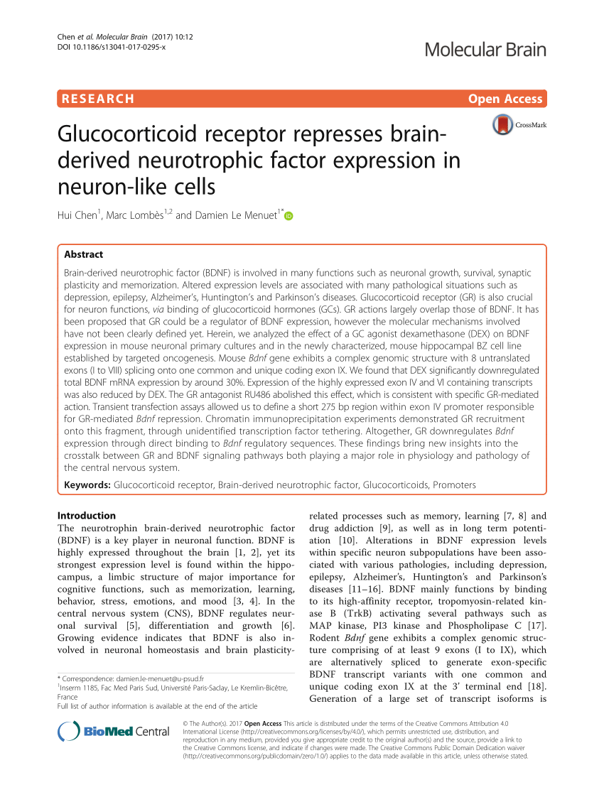 (PDF) Glucocorticoid receptor represses brain-derived neurotrophic ...