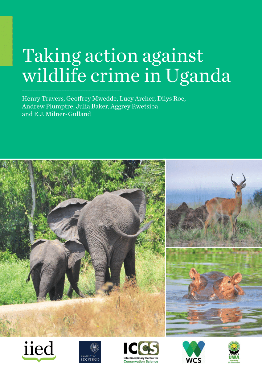 literature review on wildlife crime