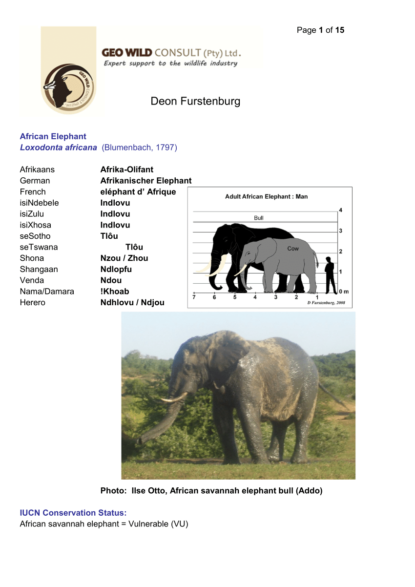 Text book of zoology. Zoology. 5] 2 Vertehrata. domesticated : the African  Elephant {E. africanvs), with fewer, thicker plates; and very large ears.  The extinct forms are numerous. The M a m m o t h (^.