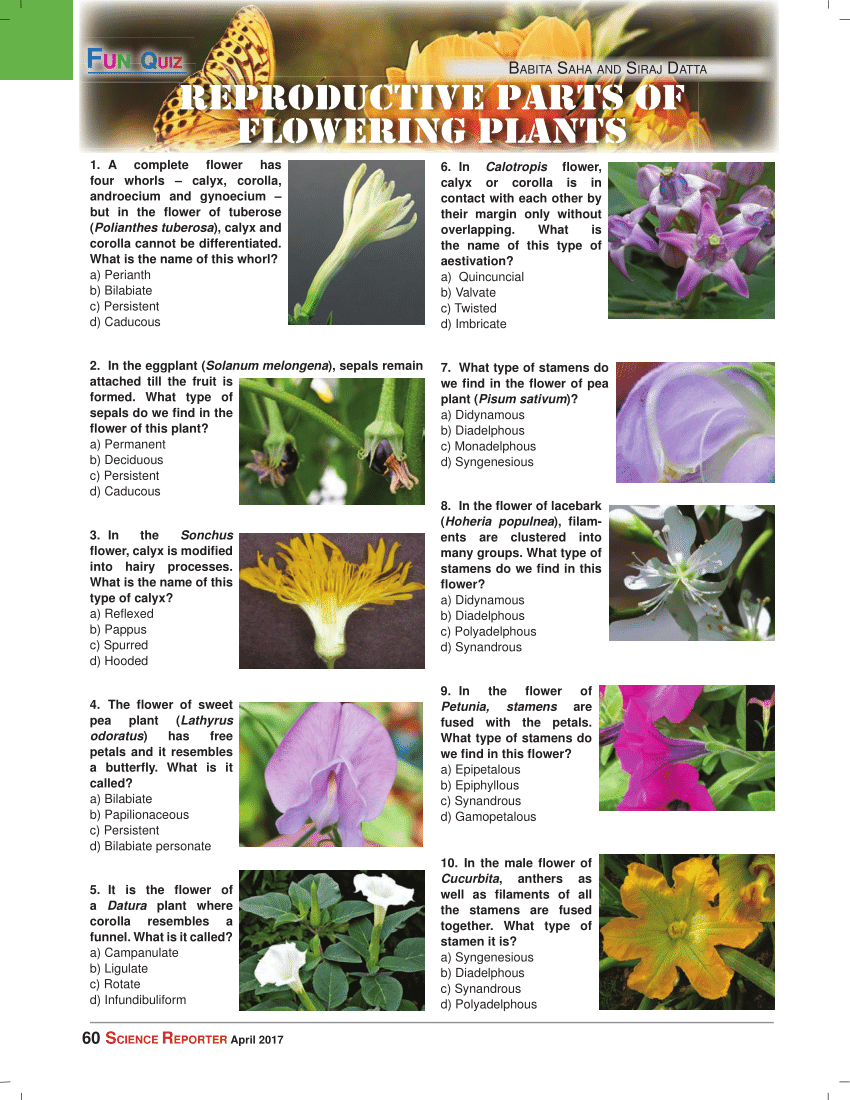 Pdf Fun Quiz Reproductive Parts In Flowering Plants