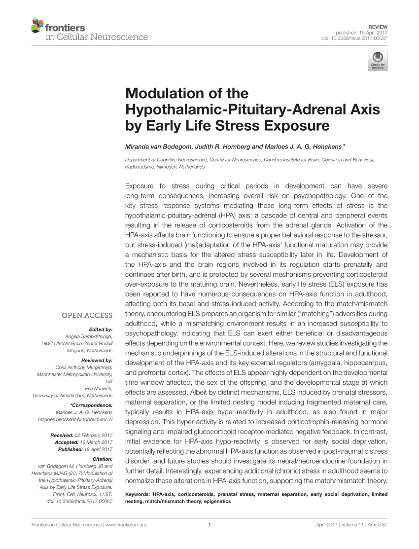 PDF) Modulation of the Hypothalamic-Pituitary-Adrenal Axis by ...