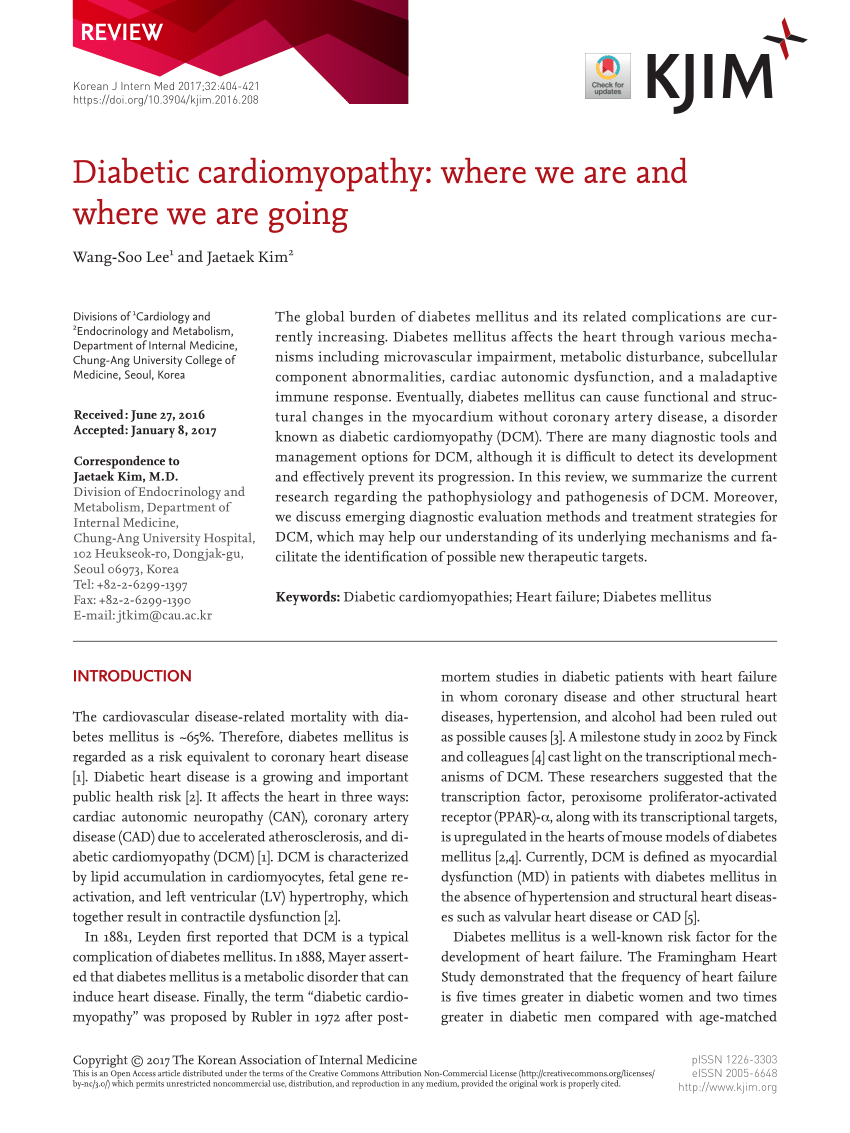 diabetic cardiomyopathy research paper