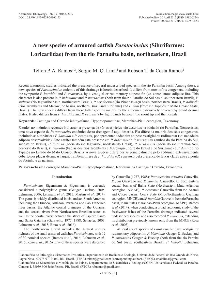 (PDF) Parotocinclus arandai, a new species of 