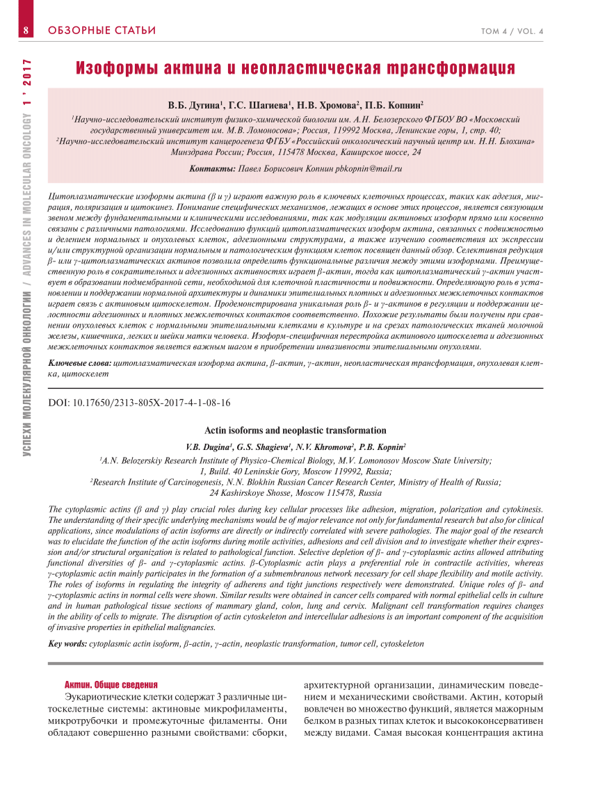 PDF) Actin isoforms and neoplastic transformation