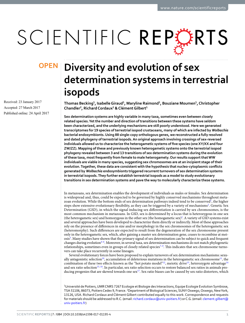 PDF) Diversity and evolution of sex determination systems in terrestrial isopods