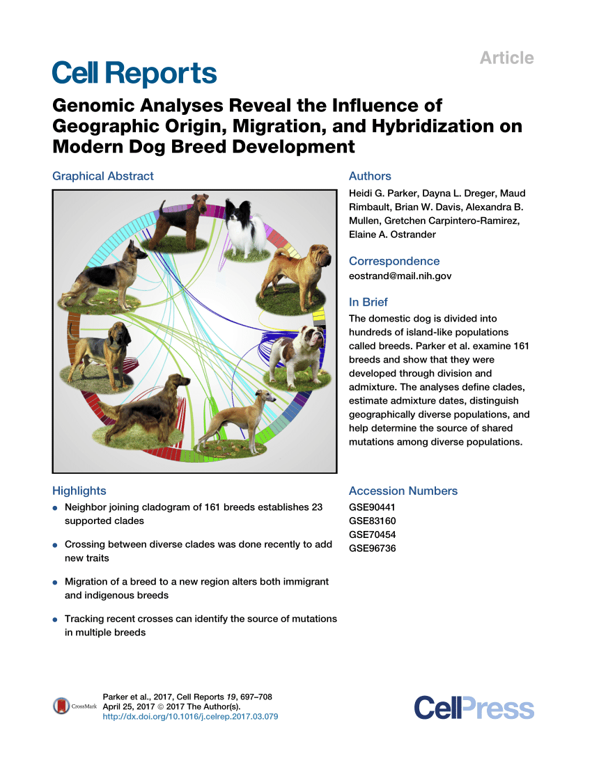 Pdf Genomic Analyses Reveal The Influence Of Geographic Origin Migration And Hybridization On Modern Dog Breed Development