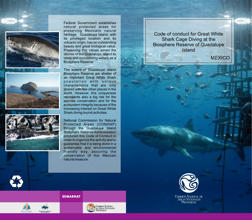 PDF) CODE OF CONDUCT FOR GREAT WHITE SHARK DIVING AT THE BIOSPHERE RESERVE  OF GUADALUPE ISLAND