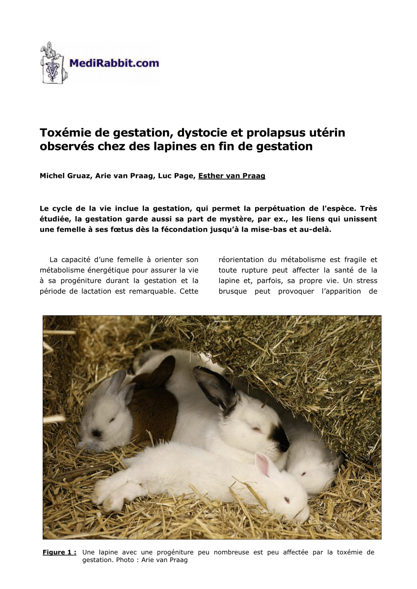 Pdf Toxemie De Gestation Dystocie Et Prolapsus Uterin Observes Chez Des Lapines En Fin De Gestation