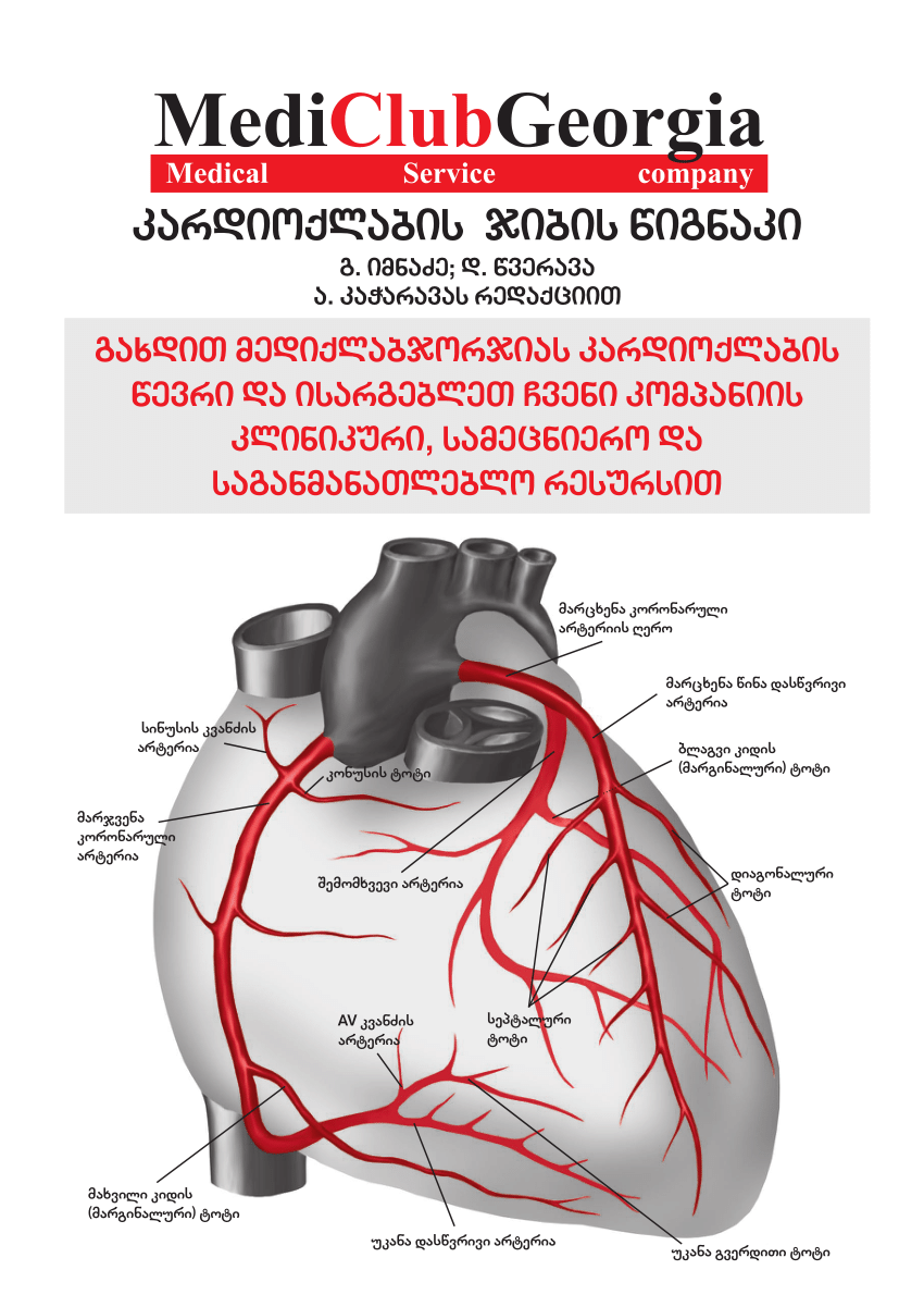 Tibbs Arterielle Kanüle – GVBM mbH