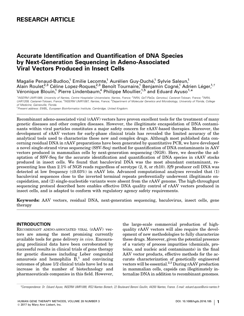 Pdf Accurate Identification And Quantification Of Dna Species By Next Generation Sequencing In Adeno Associated Viral Vectors Produced In Insect Cells