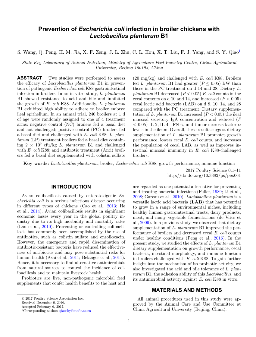 Pdf Prevention Of Escherichia Coli Infection In Broiler Chickens With Lactobacillus Plantarum B1