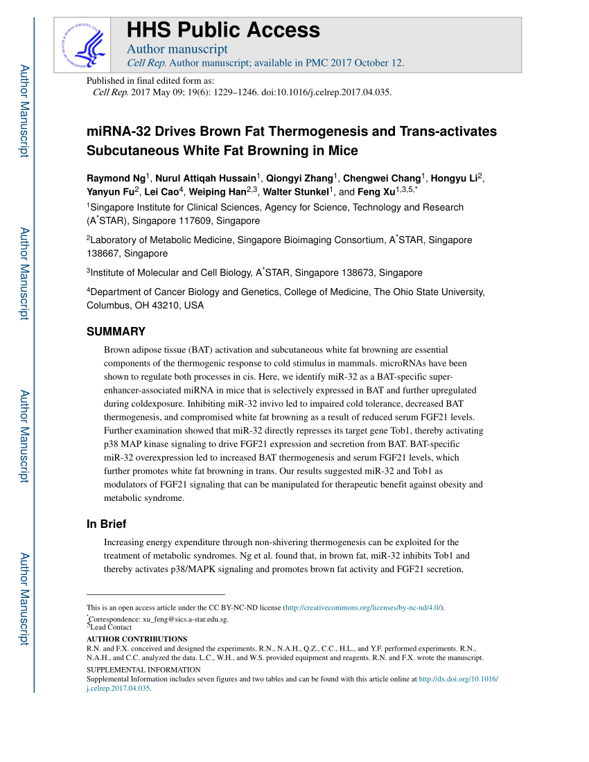 PDF) MicroRNA 34a Inhibits Beige and Brown Fat Formation in