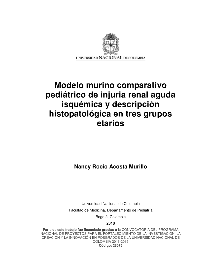 PDF) Modelo murino comparativo pediátrico de injuria renal aguda isquémica  y descripción histopatológica en tres grupos etarios