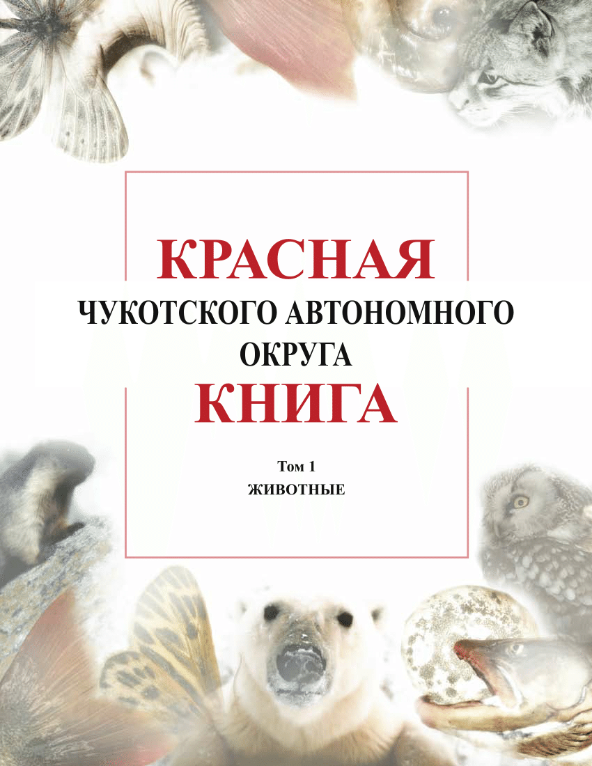 Книга чукотки