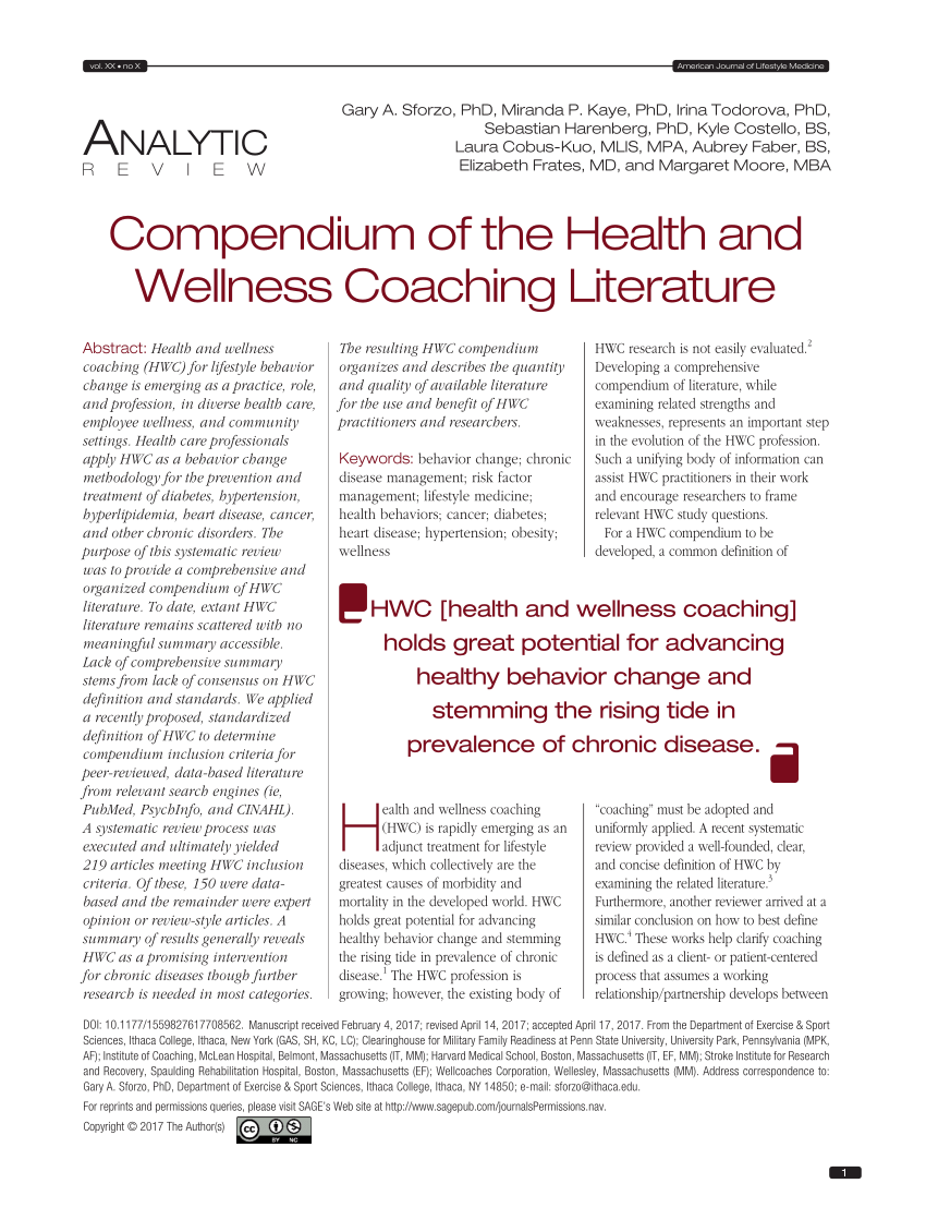 critical synthesis of wellness literature