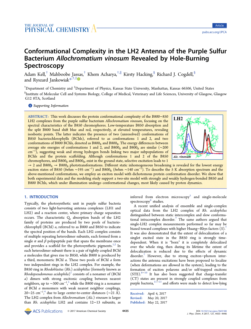 PDF) Conformational Complexity in the LH2 Antenna of the Purple