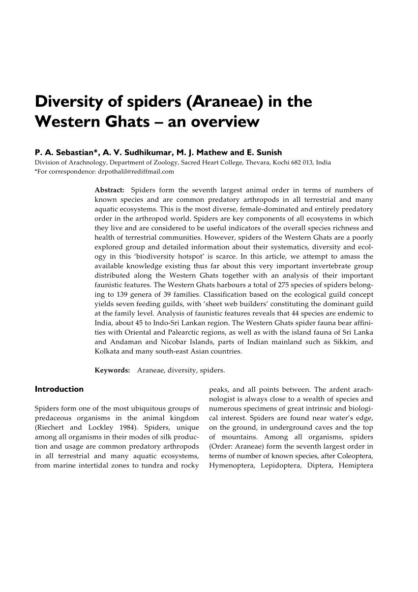 spider diversity research paper