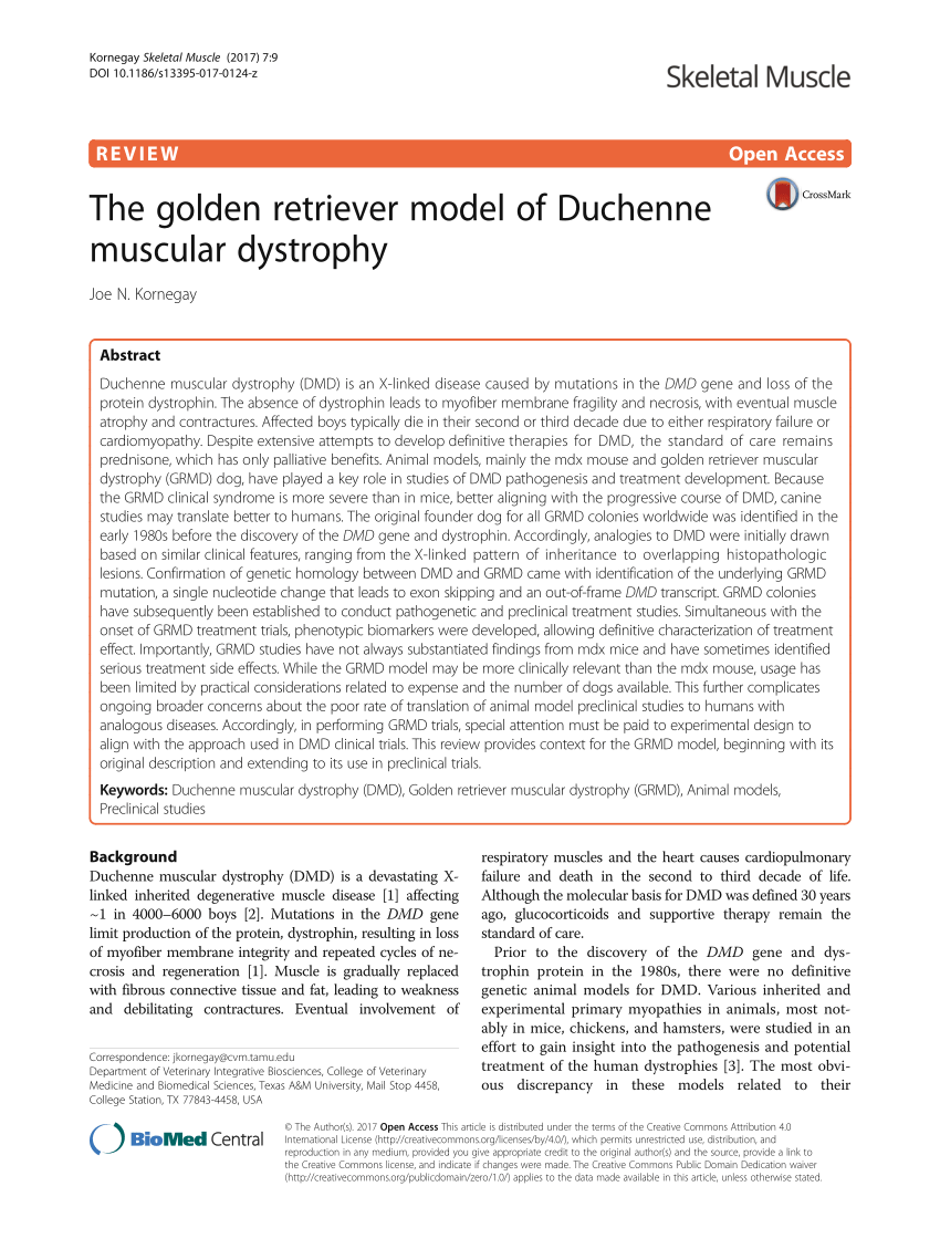 pdf) the golden retriever model of duchenne muscular dystrophy