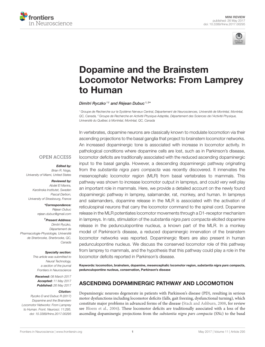 Pdf Dopamine And The Brainstem Locomotor Networks From Lamprey To Human