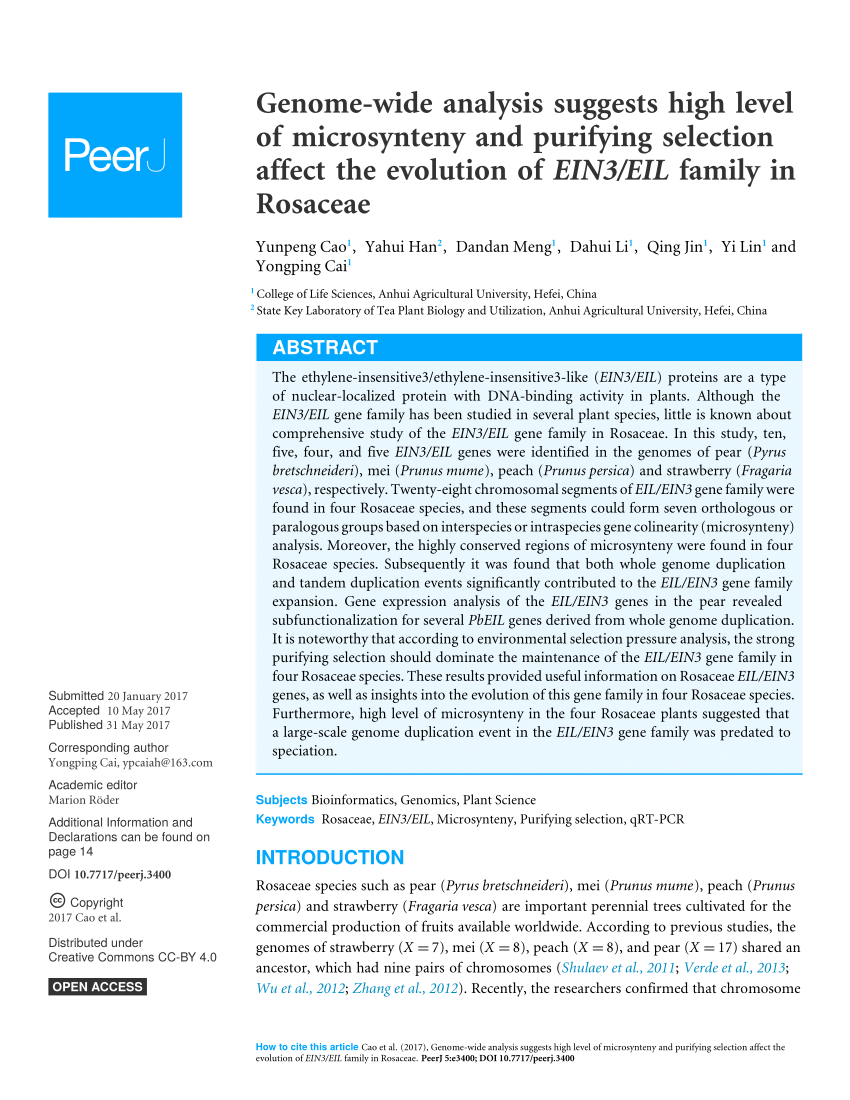Pdf Genome Wide Analysis Suggests High Level Of Microsynteny And Purifying Selection Affect The Evolution Of Ein3 Eil Family In Rosaceae