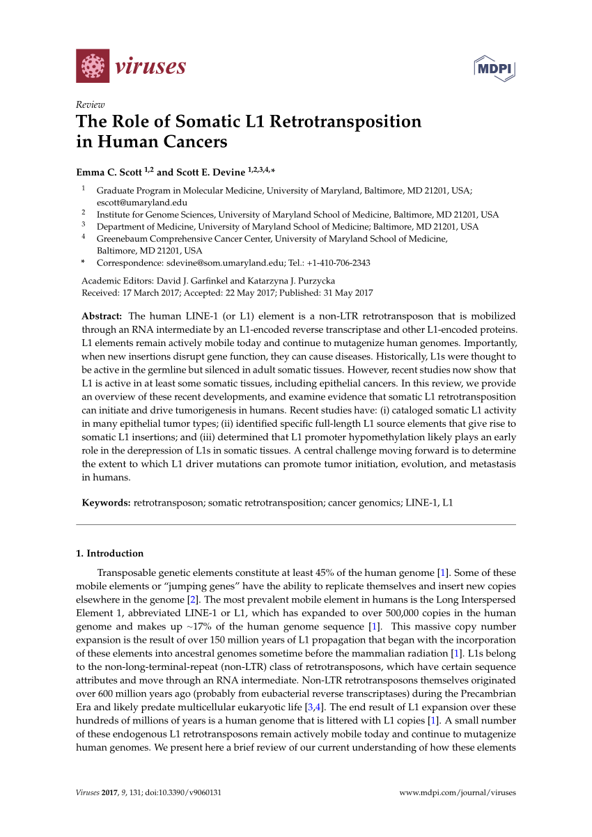 Pdf The Role Of Somatic L1 Retrotransposition In Human Cancers