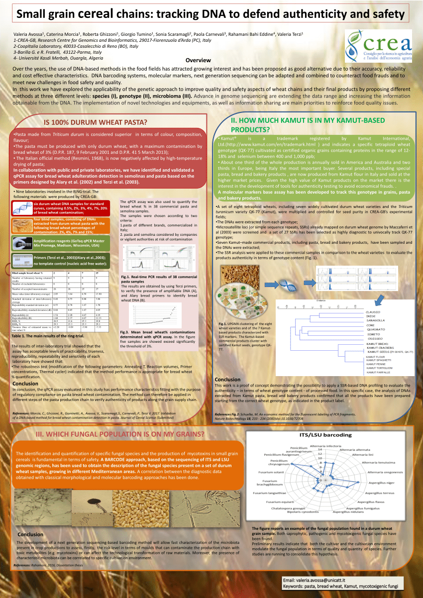 (PDF) Small grain cereal chains: tracking DNA to defend authenticity ...