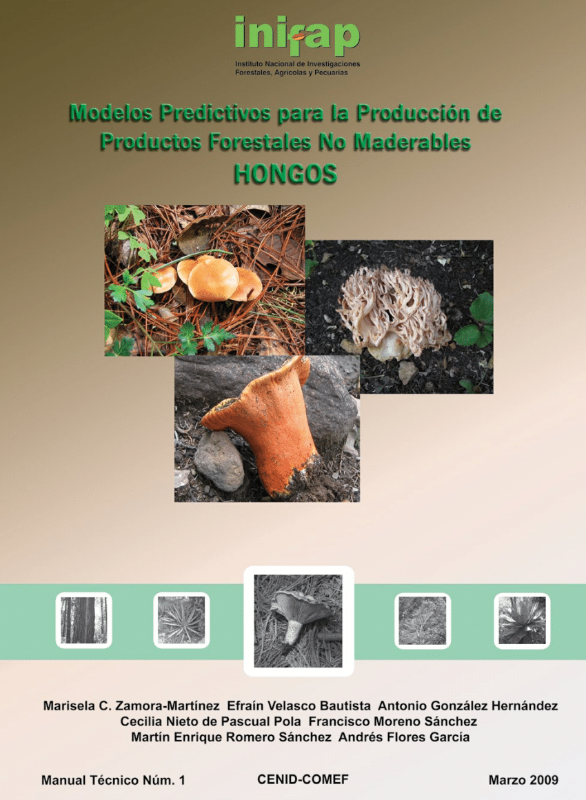 Pdf Modelos Predictivos De La Producción De Hongos Silvestres Comestibles En Bosques De 3419