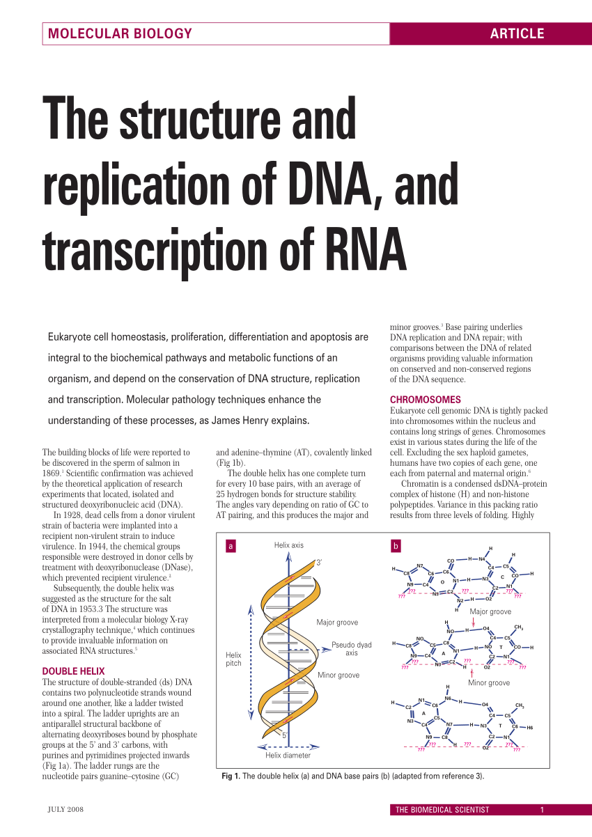 research paper on dna replication pdf