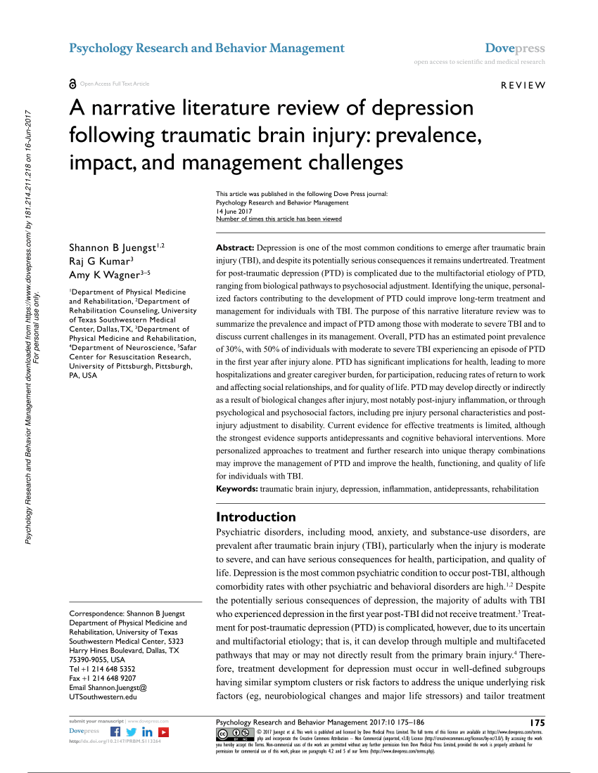 literature review on depression pdf