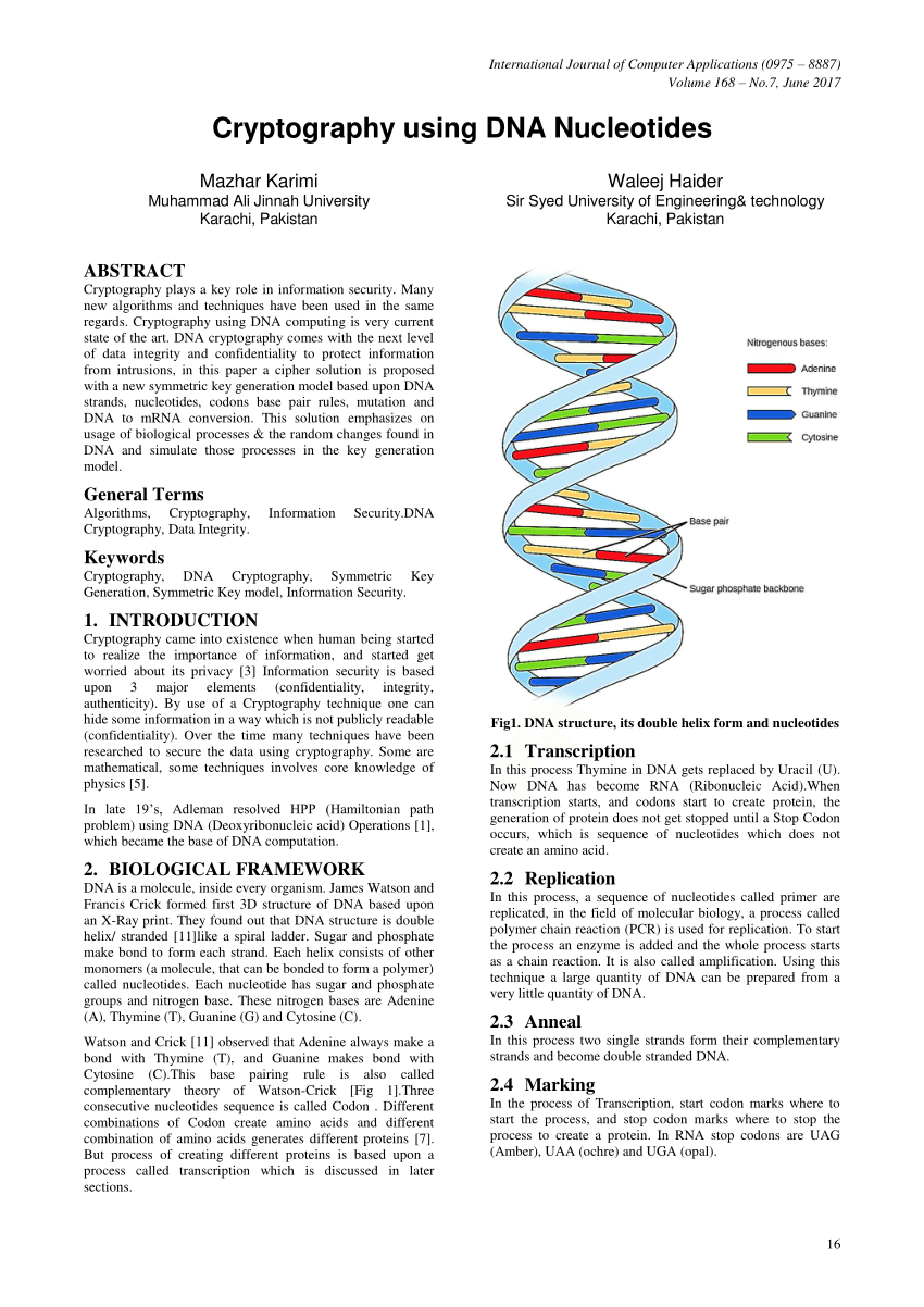 dna cryptography research papers