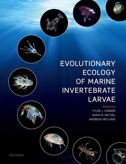 (PDF) Evolutionary Ecology of Marine Invertebrate Larvae