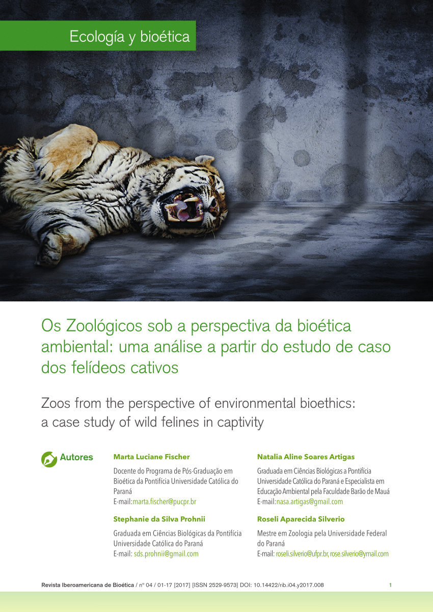 36 ideias de Tigre 3D  gatos selvagens, animais selvagens, animais  silvestres