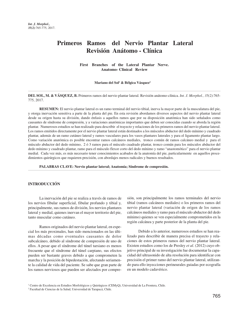 Pdf Primeros Ramos Del Nervio Plantar Lateral Revisi N An Tomo Cl Nica