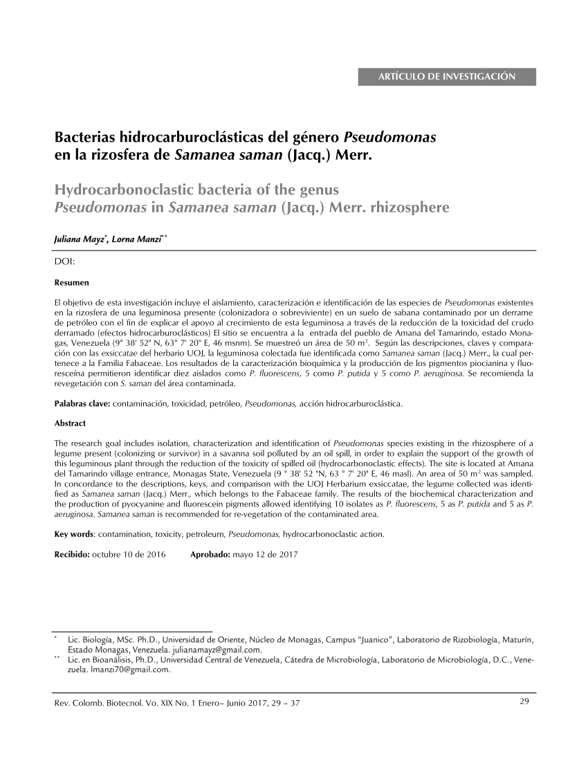 PDF Bacterias hidrocarburoclásticas del género Pseudomonas en la rizosfera de Samanea saman