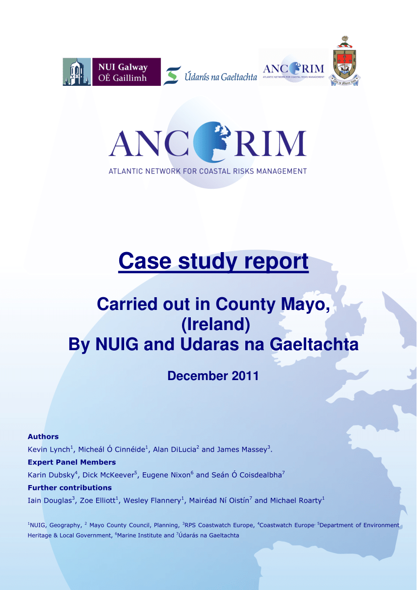 case study report title