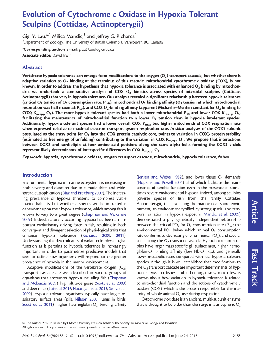 Pdf Evolution Of Cytochrome C Oxidase In Hypoxia Tolerant Sculpins Cottidae Actinopterygii