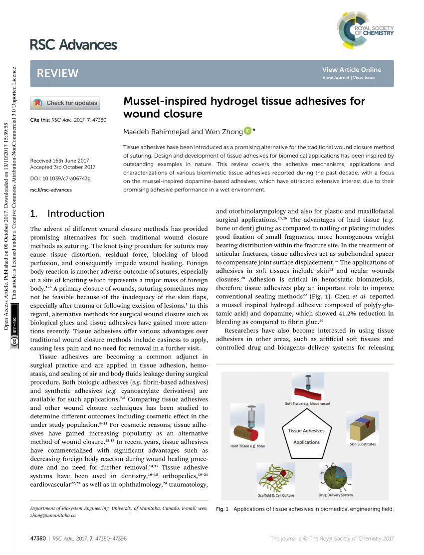 New mussel-inspired surgical protein glue: Close wounds, open medical  possibilities