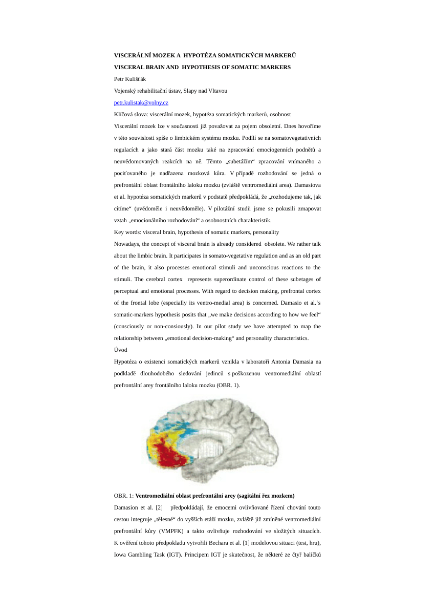 Viscerální mozek a hypotéza somatických markerů