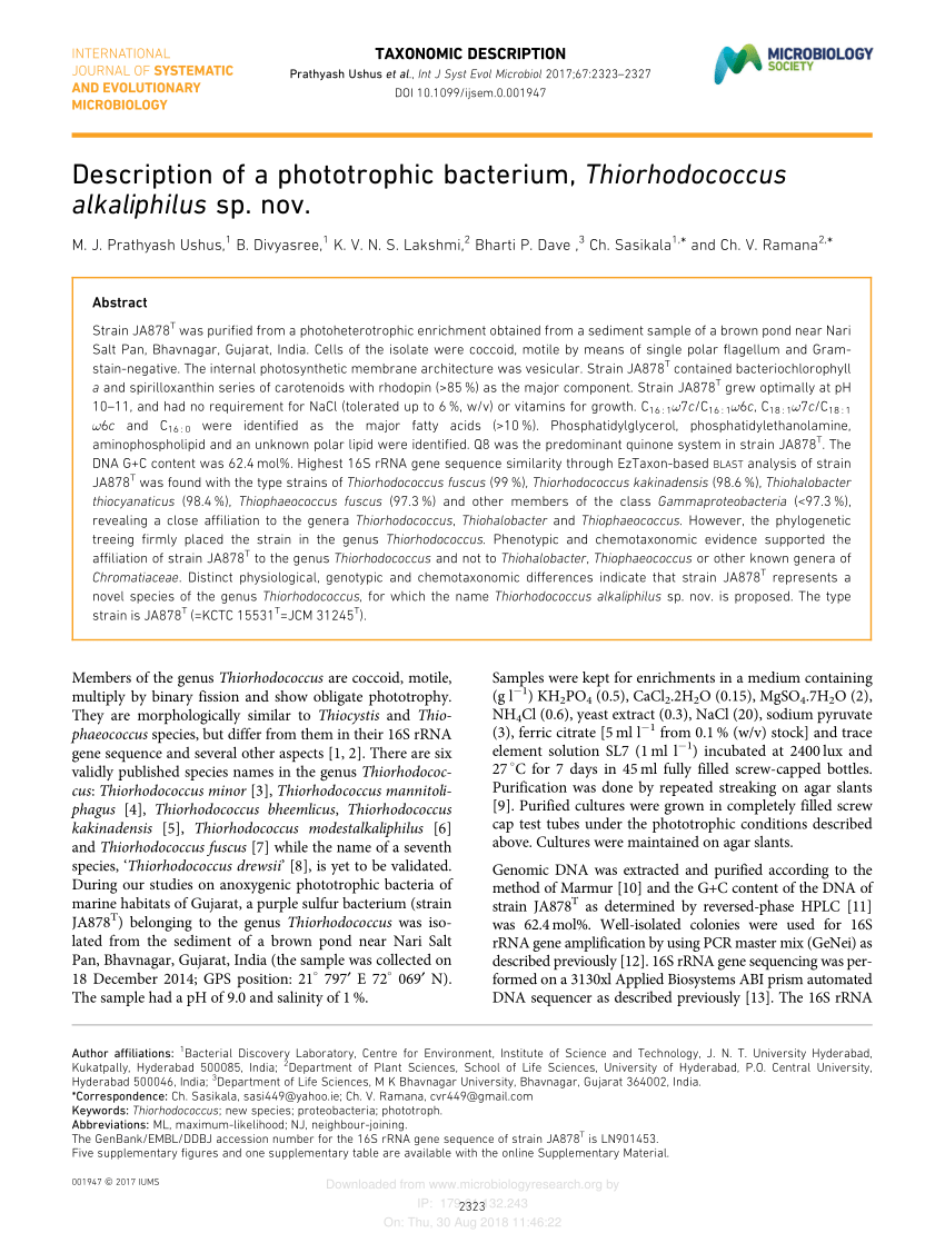 (PDF) Description of a phototrophic bacterium, Thiorhodococcus ...