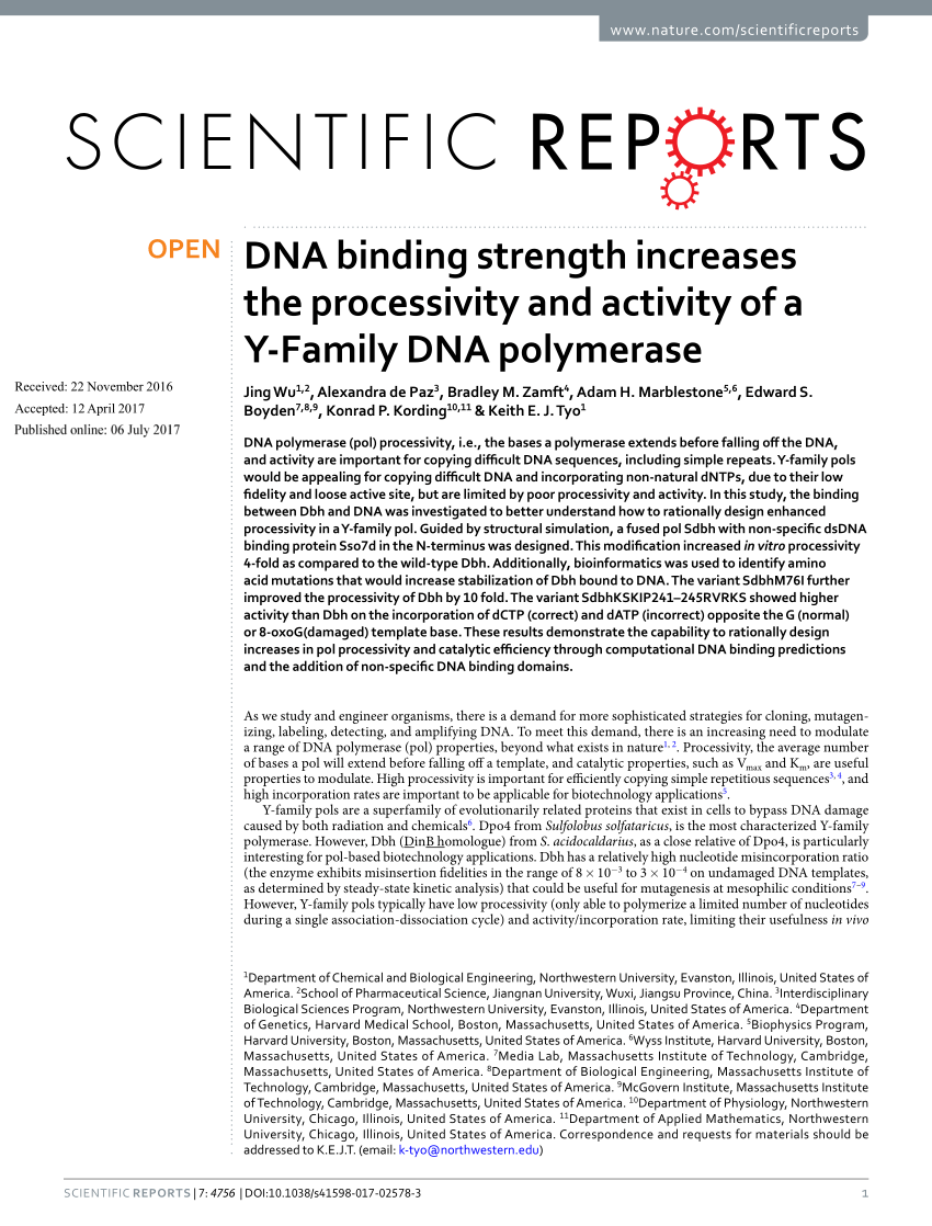 Pdf Dna Binding Strength Increases The Processivity And Activity Of A Y Family Dna Polymerase