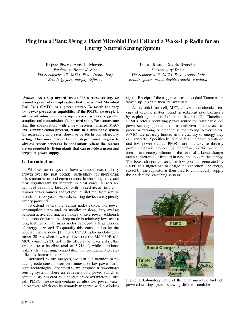 (PDF) Plug into a Plant: Using a Plant Microbial Fuel Cell ...