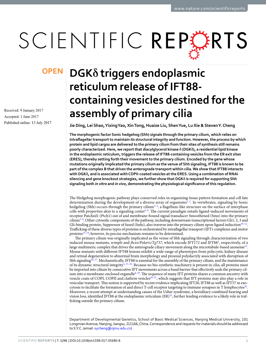 DGKδ triggers endoplasmic reticulum release of IFT88-containing destined for the assembly of primary cilia